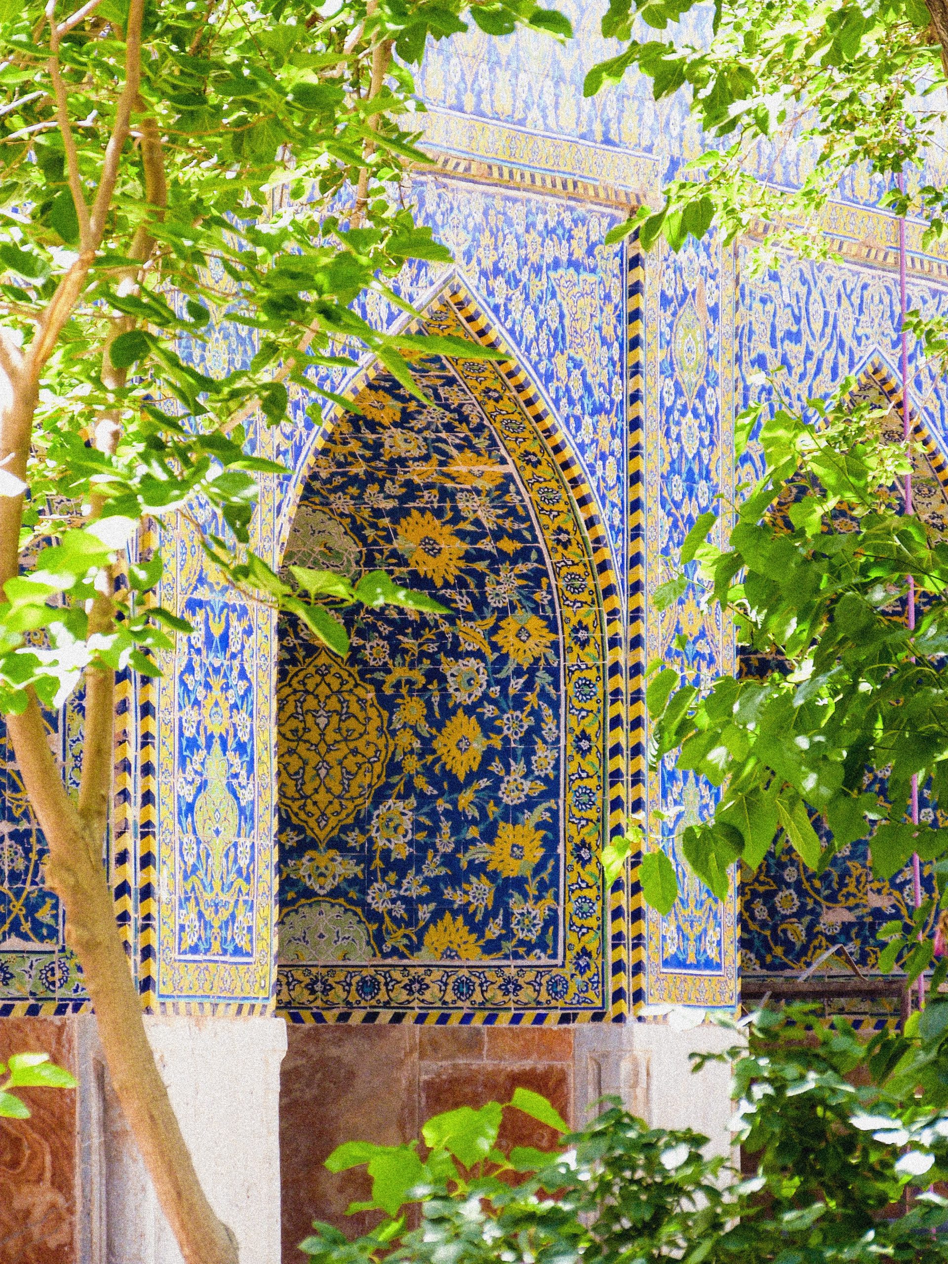 trees-growing-outside-shah-mosque